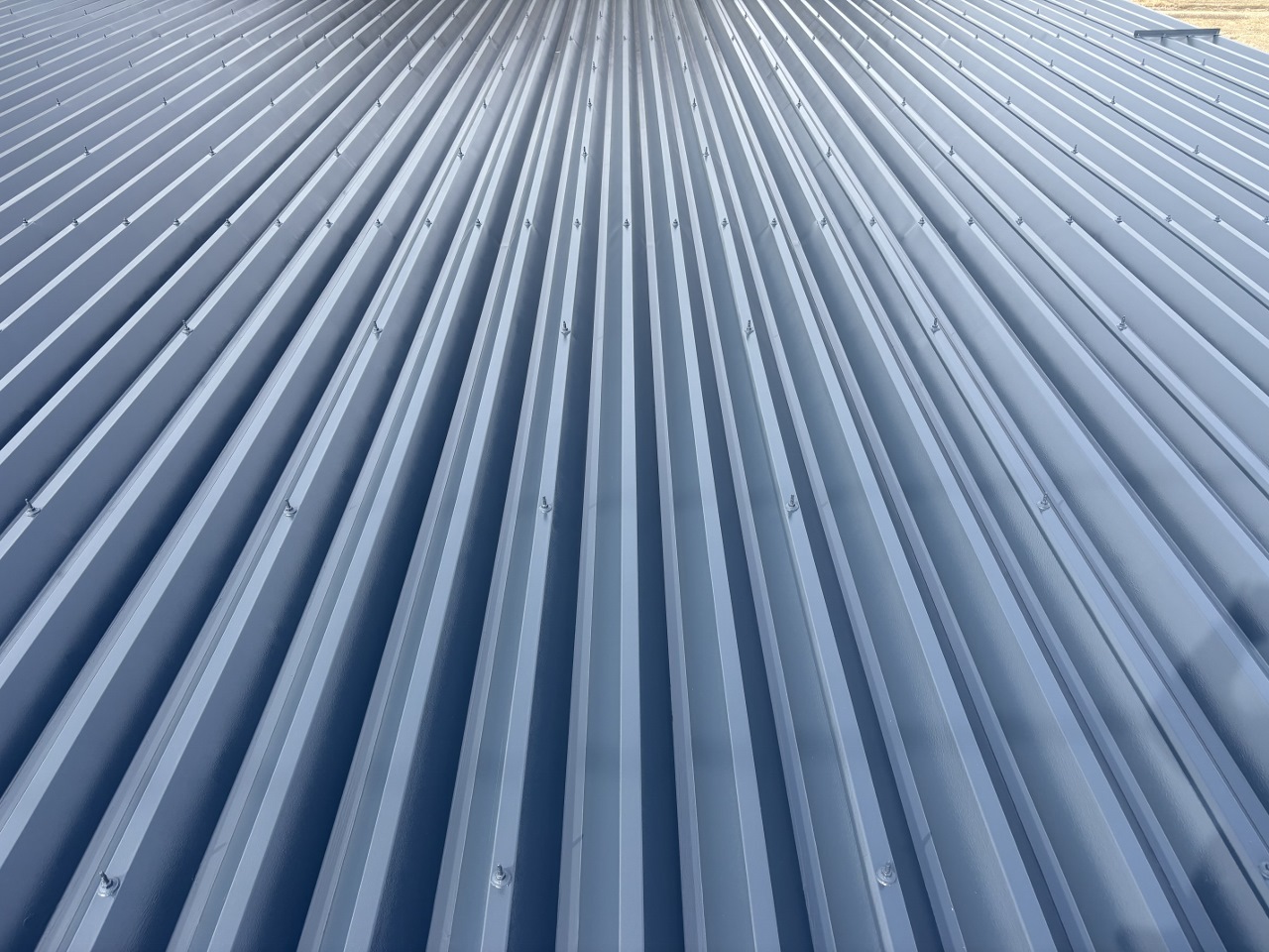 Blue corrugated metal roof panels viewed from above, with rows of screws along the ridges.